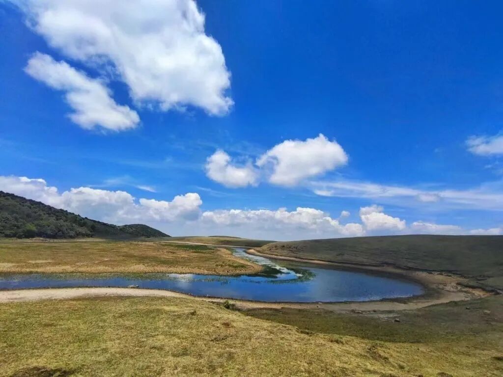 官方明确：鸟吊山，禁止游客进入