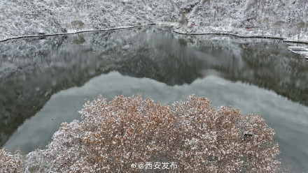 翠华山雪景犹如粉妆玉砌 翠华山雪景犹如粉妆玉砌