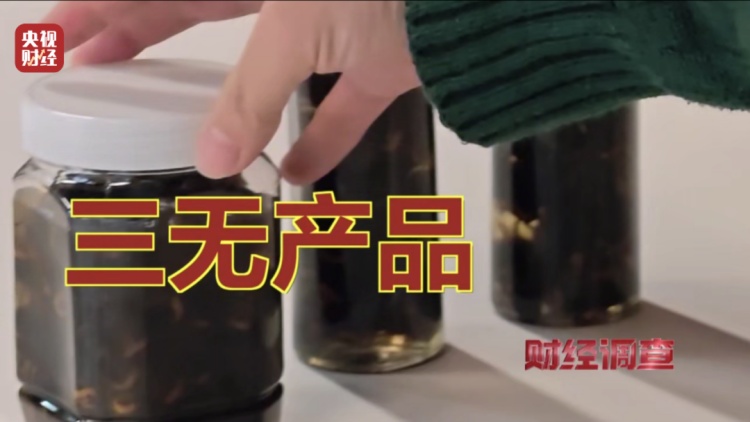 “杀人蜂”竟遭滥养！有人赚得盆满钵满