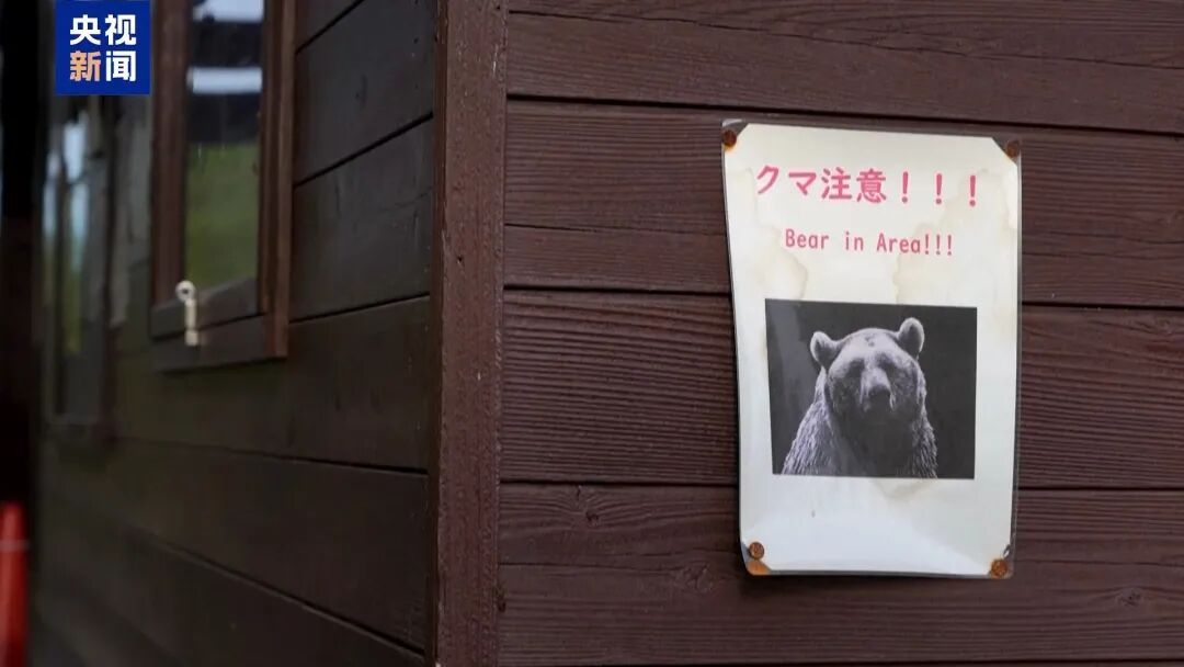 日本熊闯入繁华地区商场，被警察麻醉后杀死！近期它们还闯入新干线、机场……