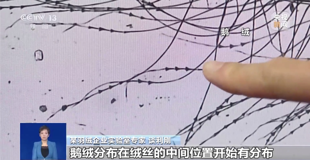 “过冬搭子”羽绒服怎么选？