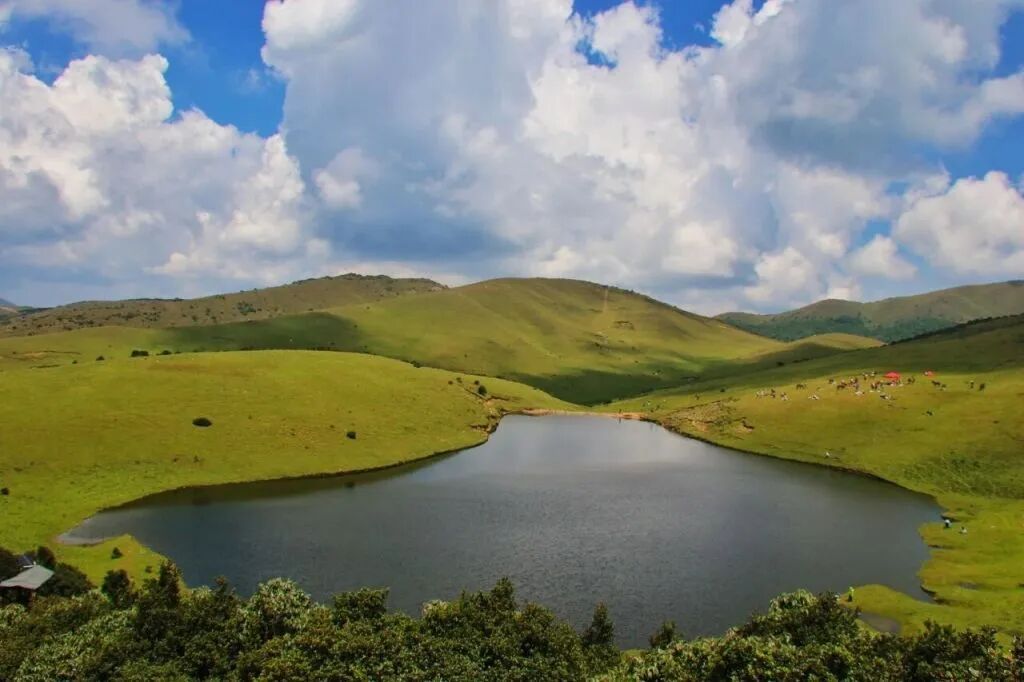 官方明确：鸟吊山，禁止游客进入