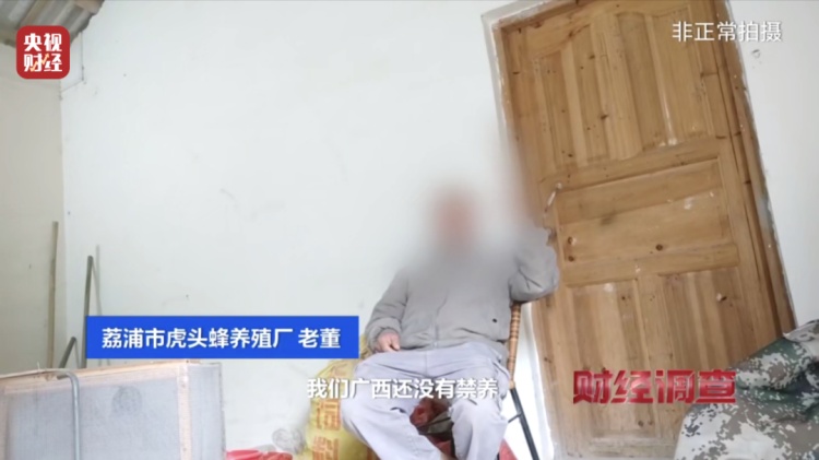 “杀人蜂”竟遭滥养！有人赚得盆满钵满