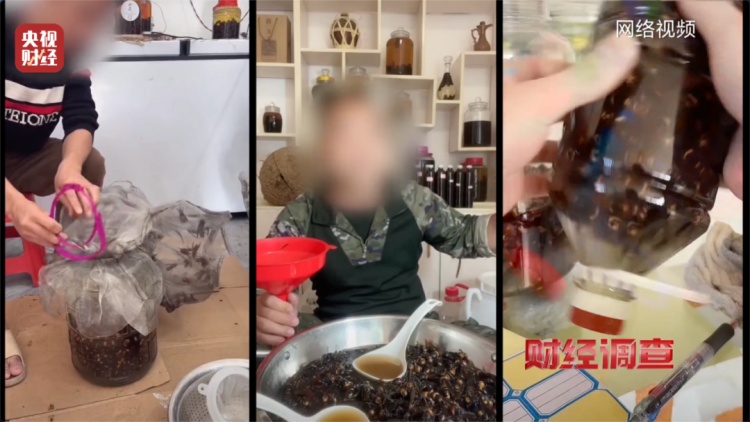 “杀人蜂”竟遭滥养！有人赚得盆满钵满