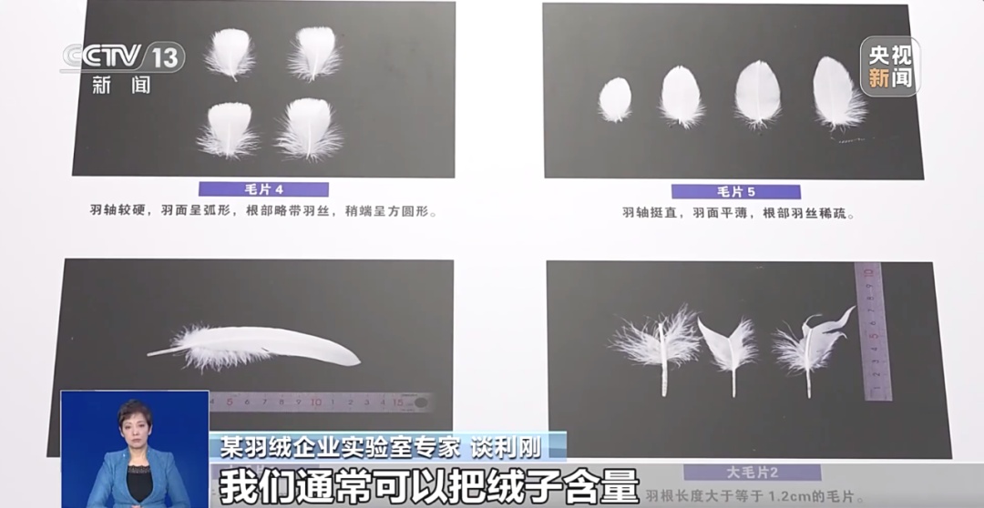 “过冬搭子”羽绒服怎么选？