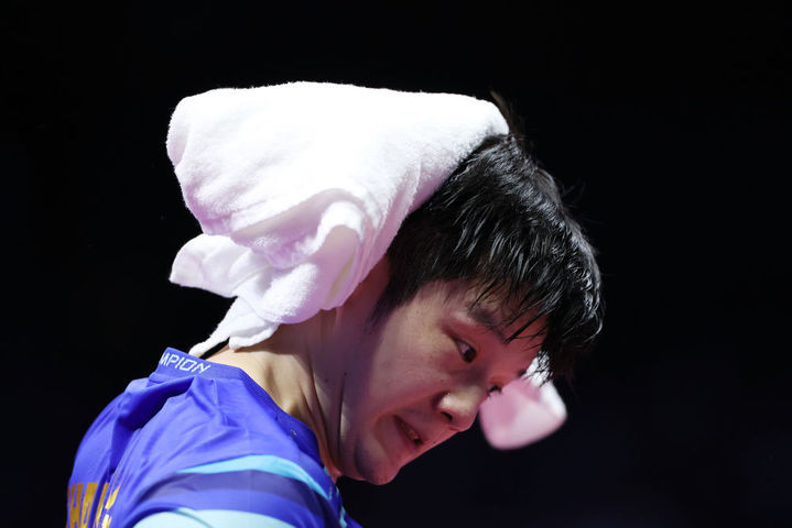 樊振东：469天后，王者归来