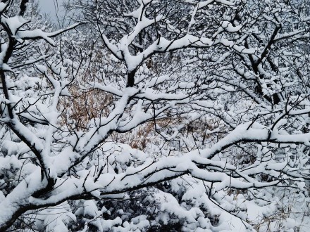 河南这场大雪下到几时