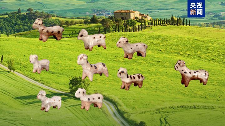 天儿冷想吃涮羊肉?但不许打它的主意! 天儿冷想吃涮羊肉?但不许打它的主意!