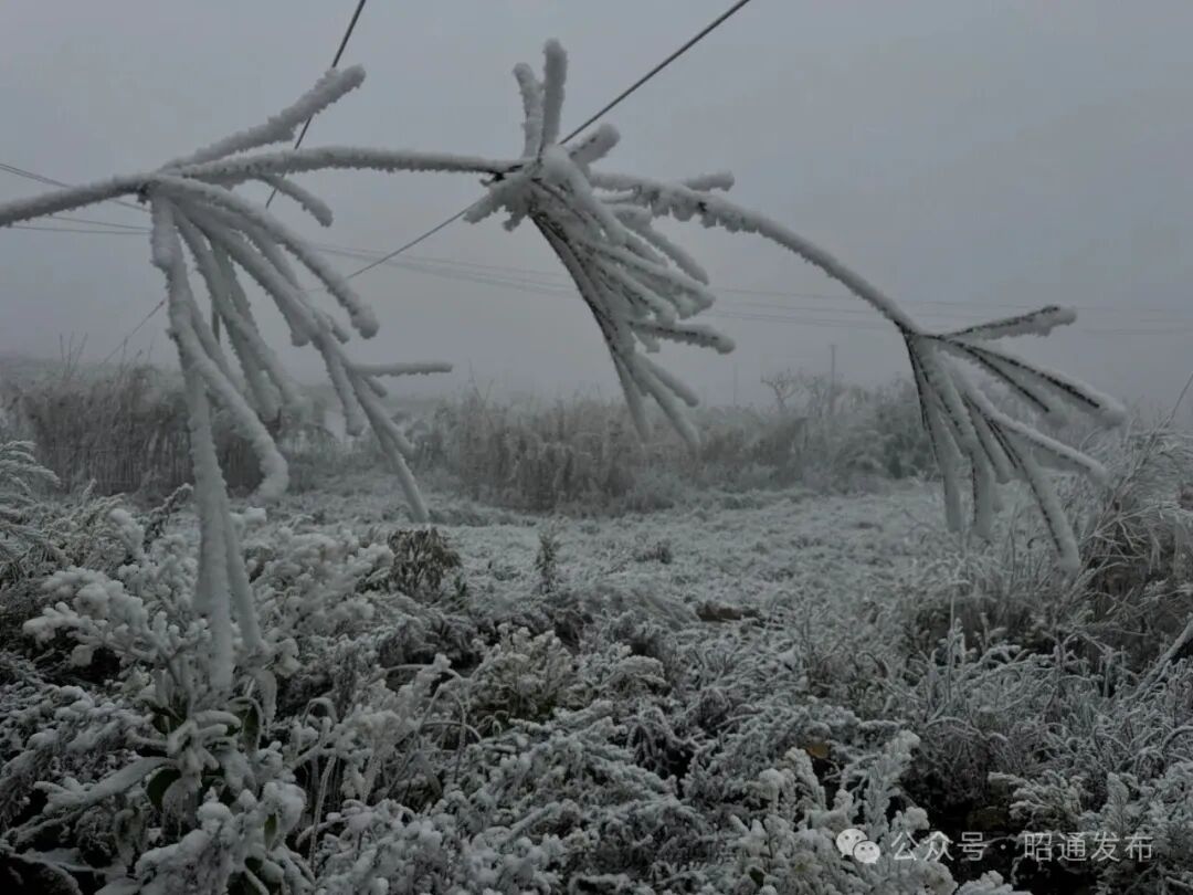 冷空气猛扑!云南多地降雪,局地降温超10℃,未来天气...... 冷空气猛扑!云南多地降雪,局地降温超10℃,未来天气......