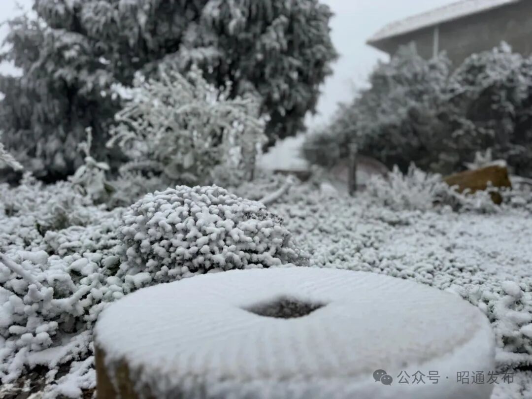 冷空气猛扑!云南多地降雪,局地降温超10℃,未来天气...... 冷空气猛扑!云南多地降雪,局地降温超10℃,未来天气......