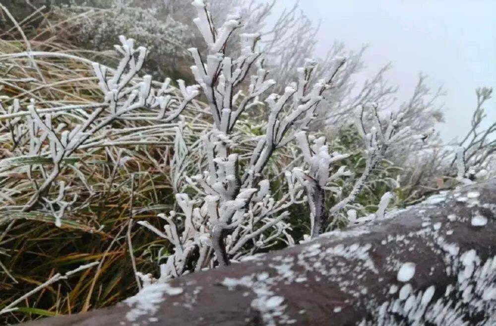 零下1.2℃,粤北冷出了雾凇冰挂!广东局地已发寒冷橙警,气象部门预计升温日→ 零下1.2℃,粤北冷出了雾凇冰挂!广东局地已发寒冷橙警,气象部门预计升温日→
