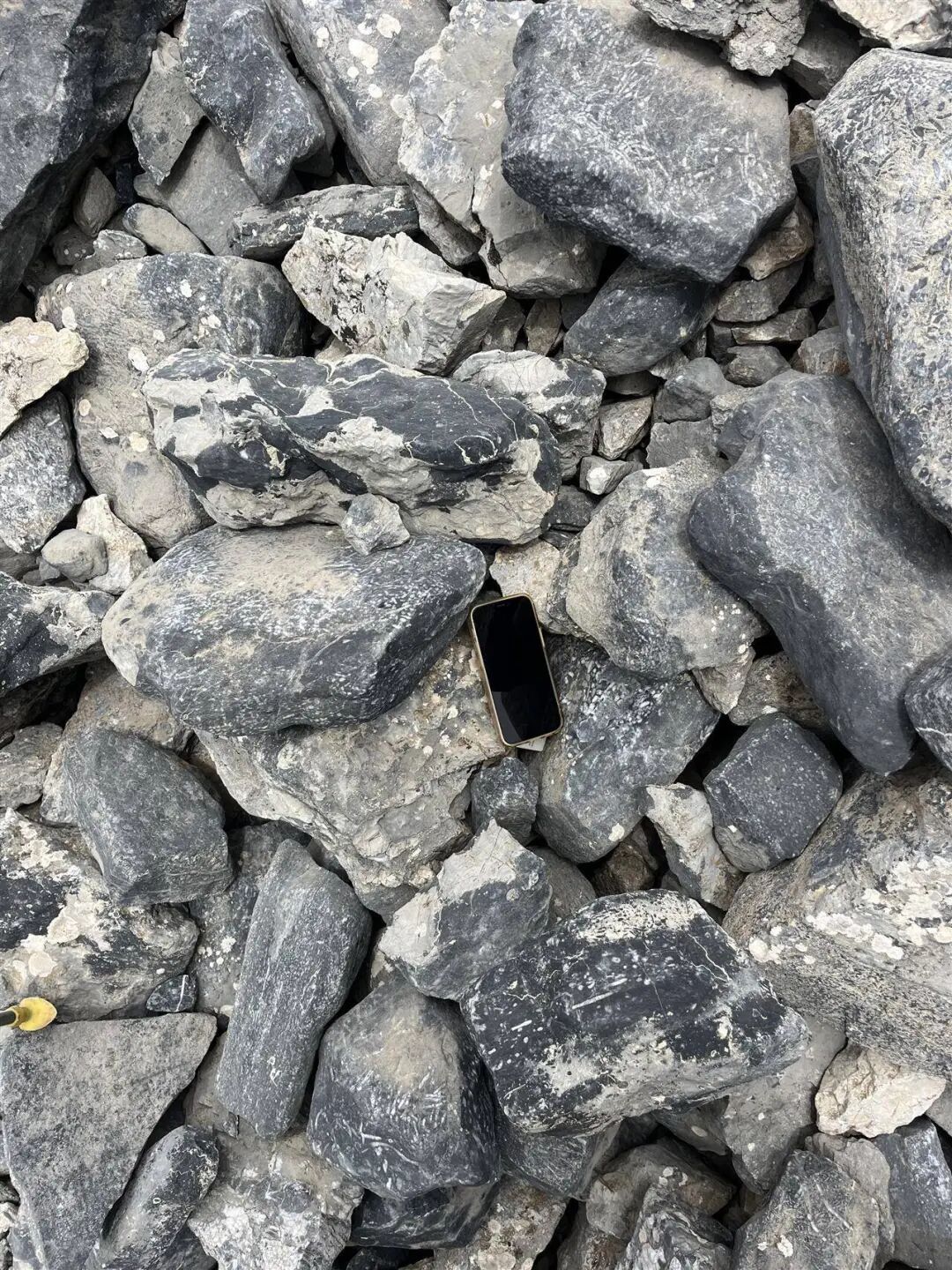 奇妙的缘分！女子手机落在新疆乱石堆，3年后被人跨越5000公里送还，双方约饭后成了朋友