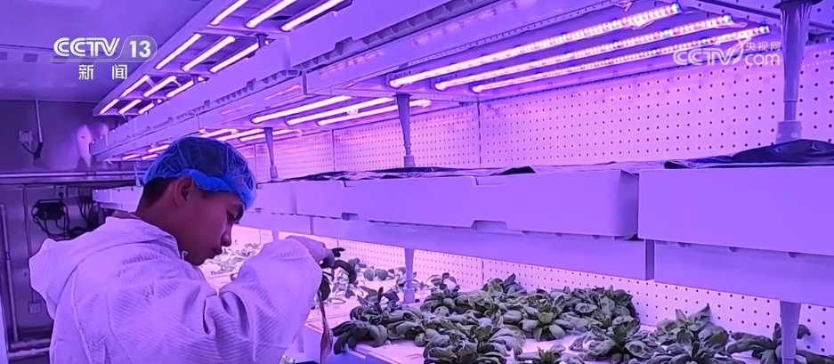 从“脚板丈量”到“智慧助巡” 昆木加哨所官兵见证65载戍边科技变迁