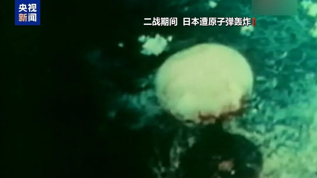 高市搞事，已遭反噬