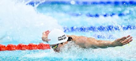 又是四连冠 汪顺为自己感到骄傲 又是四连冠 汪顺为自己感到骄傲