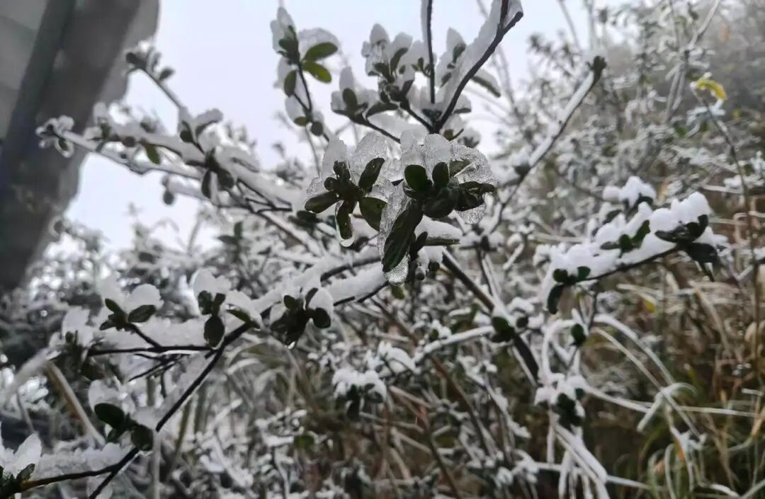 零下1.2℃,粤北冷出了雾凇冰挂!广东局地已发寒冷橙警,气象部门预计升温日→ 零下1.2℃,粤北冷出了雾凇冰挂!广东局地已发寒冷橙警,气象部门预计升温日→