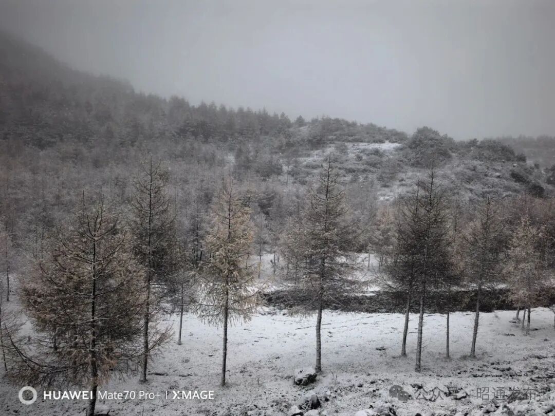 冷空气猛扑!云南多地降雪,局地降温超10℃,未来天气...... 冷空气猛扑!云南多地降雪,局地降温超10℃,未来天气......