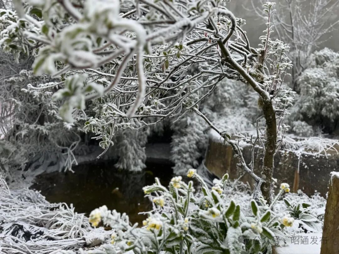 冷空气猛扑!云南多地降雪,局地降温超10℃,未来天气...... 冷空气猛扑!云南多地降雪,局地降温超10℃,未来天气......