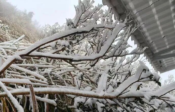 跌破0℃!广东一夜速冻、冷到结冰,气温回升时间定了 跌破0℃!广东一夜速冻、冷到结冰,气温回升时间定了