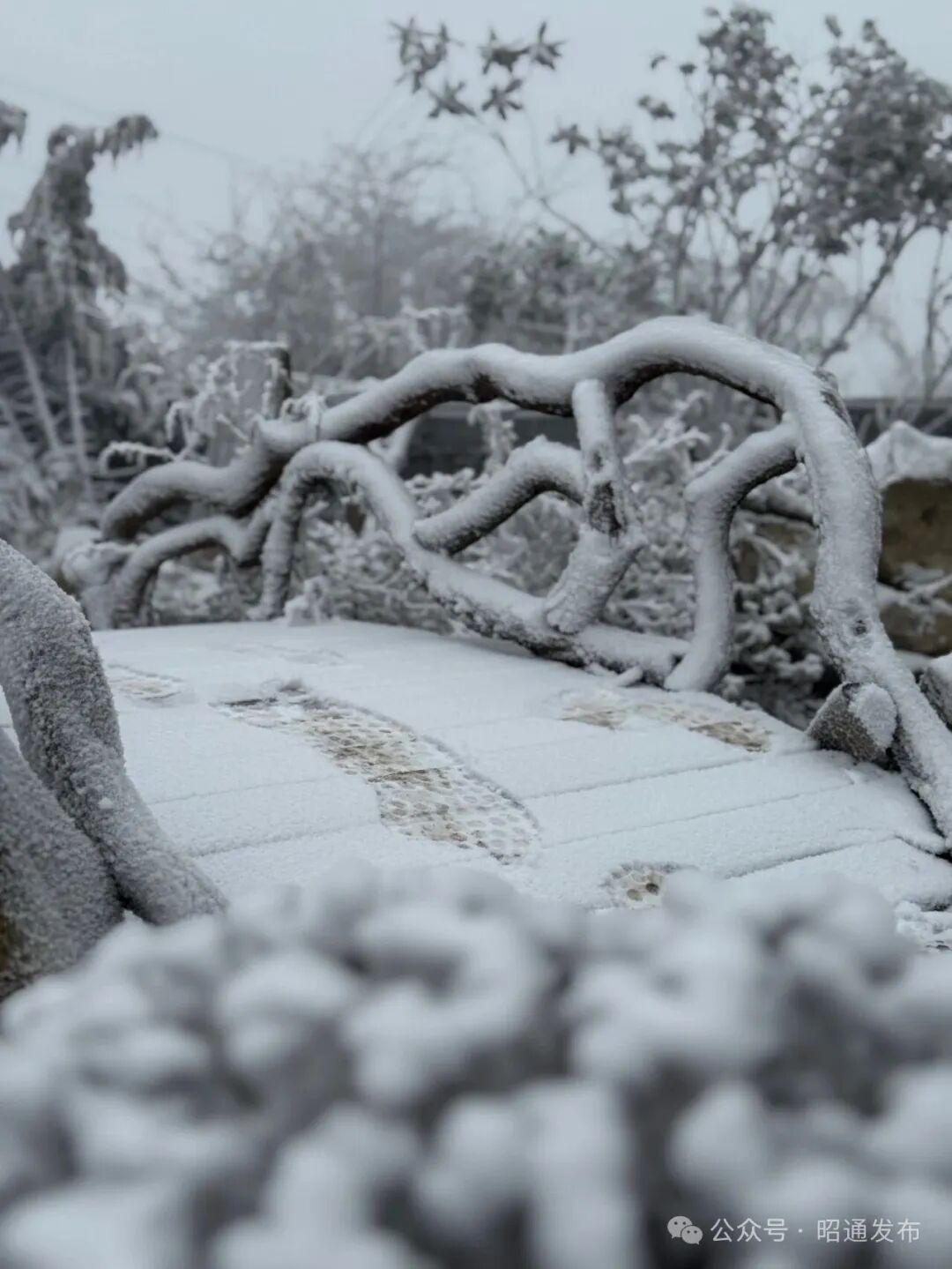 冷空气猛扑!云南多地降雪,局地降温超10℃,未来天气...... 冷空气猛扑!云南多地降雪,局地降温超10℃,未来天气......