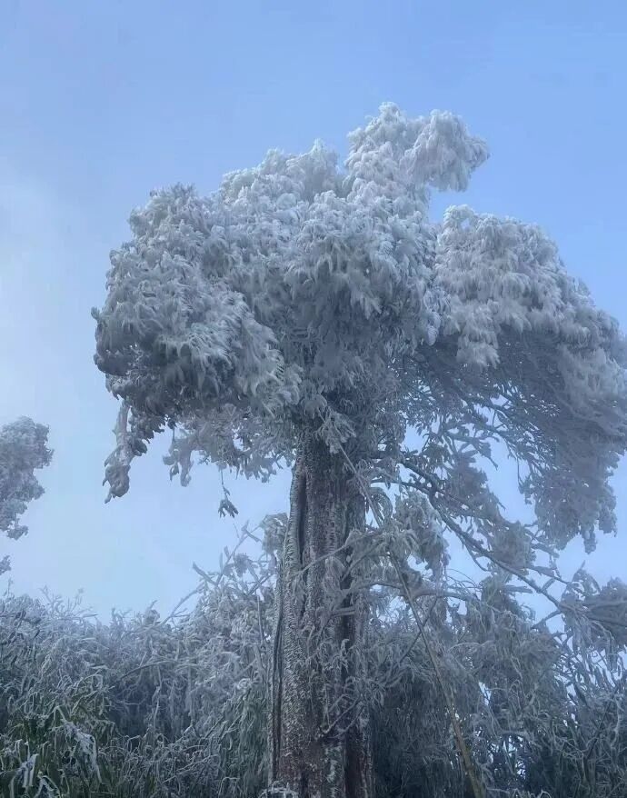 跌破0℃!广东一夜速冻、冷到结冰,气温回升时间定了 跌破0℃!广东一夜速冻、冷到结冰,气温回升时间定了