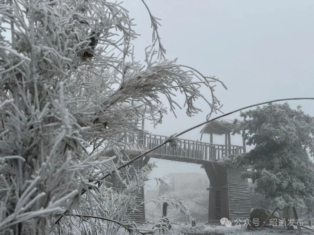 冷空气猛扑!云南多地降雪,局地降温超10℃,未来天气...... 冷空气猛扑!云南多地降雪,局地降温超10℃,未来天气......