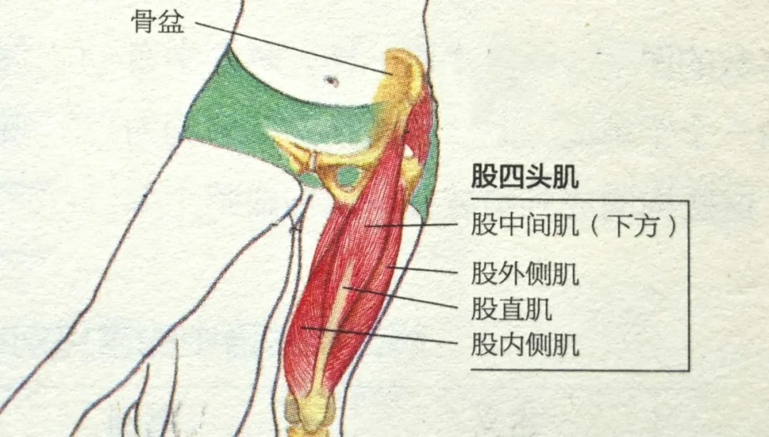 不是所有人都适合跑步！一个动作自测你到底适不适合，赶紧告诉身边人