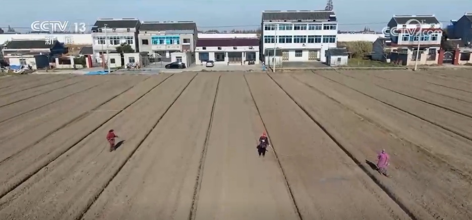 寒潮来袭 各地多部门积极应对护航农业生产 寒潮来袭 各地多部门积极应对护航农业生产