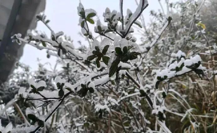 跌破0℃!广东一夜速冻、冷到结冰,气温回升时间定了 跌破0℃!广东一夜速冻、冷到结冰,气温回升时间定了