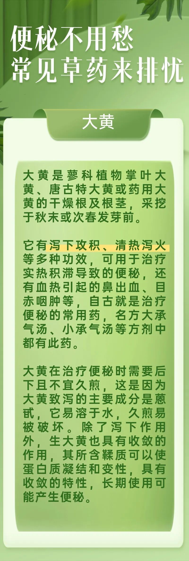 被便秘困扰怎么办?5种常见草药来排忧,吃了就能顺畅排便 被便秘困扰怎么办?5种常见草药来排忧,吃了就能顺畅排便