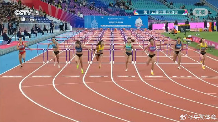 刘景扬100米栏金牌