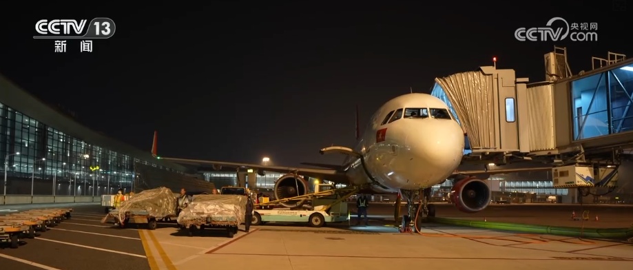 8627亿美元、8.2%，潜力大！“数”说中国东盟双边贸易逆势而上尽显蓬勃活力