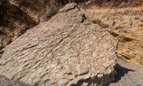 来辽宁“寻宝”,捡石头路线都给你摸清楚儿的 来辽宁“寻宝”,捡石头路线都给你摸清楚儿的