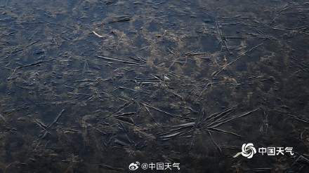 秋尽冬生 北京湖面开启冰封模式 秋尽冬生 北京湖面开启冰封模式