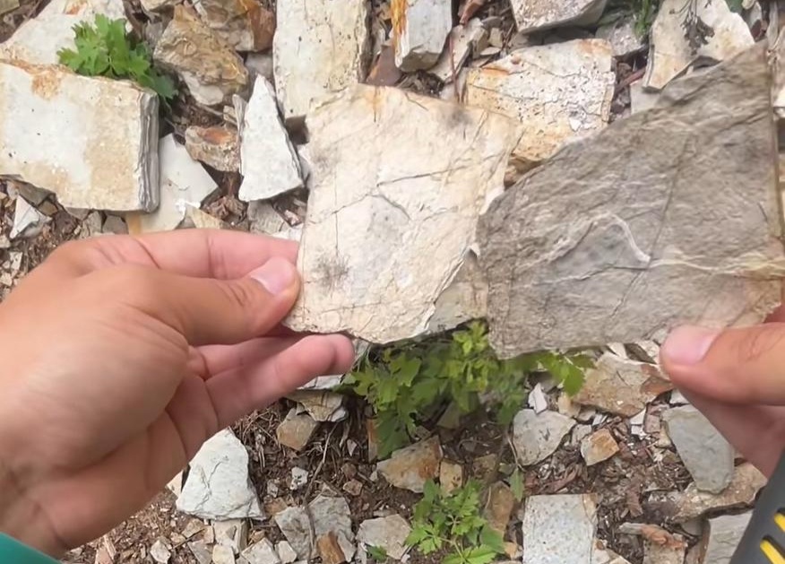 来辽宁“寻宝”,捡石头路线都给你摸清楚儿的 来辽宁“寻宝”,捡石头路线都给你摸清楚儿的