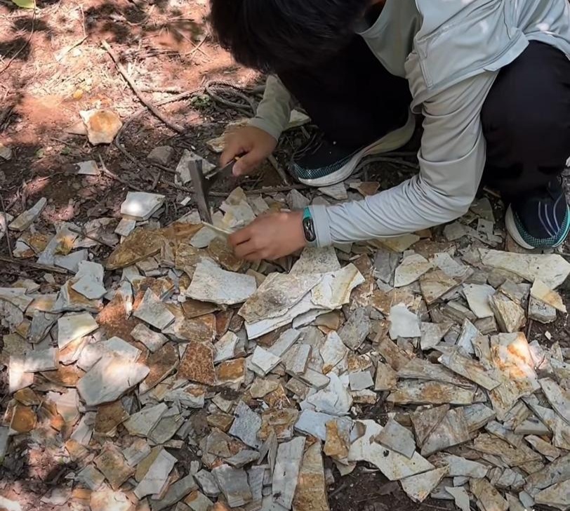 来辽宁“寻宝”,捡石头路线都给你摸清楚儿的 来辽宁“寻宝”,捡石头路线都给你摸清楚儿的