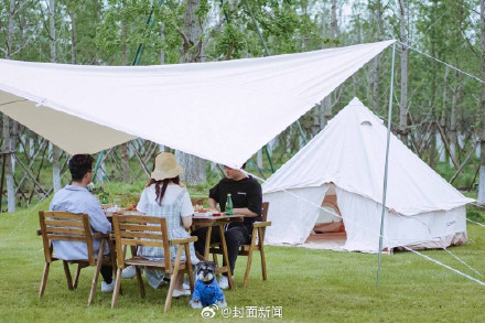 浙江一景区对宠物狗单独收费 工作人员：其他宠物不收费