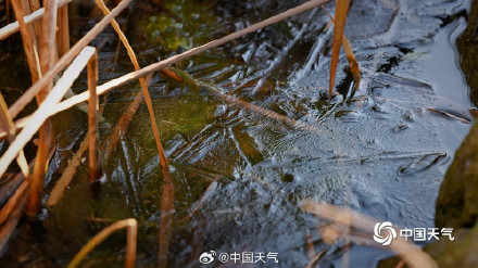 秋尽冬生 北京湖面开启冰封模式 秋尽冬生 北京湖面开启冰封模式