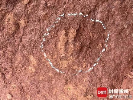 四川古蔺惊现恐龙王国