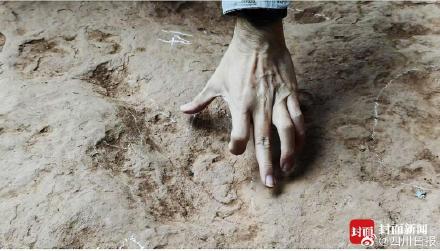 四川古蔺惊现恐龙王国