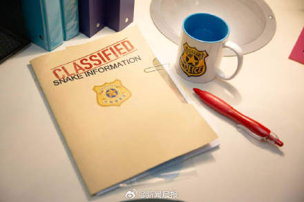 上海迪士尼乐园今日门票近乎售罄!疯狂动物城2沉浸式体验正式开放 上海迪士尼乐园今日门票近乎售罄!疯狂动物城2沉浸式体验正式开放