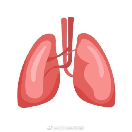 患慢性阻塞性肺疾病的高危人群是哪些?如何及时发现患病? 患慢性阻塞性肺疾病的高危人群是哪些?如何及时发现患病?