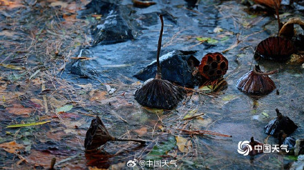 秋尽冬生 北京湖面开启冰封模式 秋尽冬生 北京湖面开启冰封模式