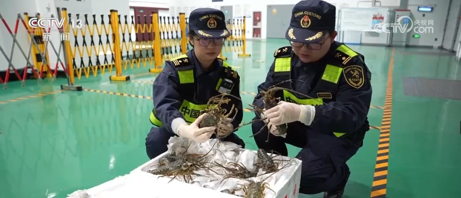 8627亿美元、8.2%，潜力大！“数”说中国东盟双边贸易逆势而上尽显蓬勃活力