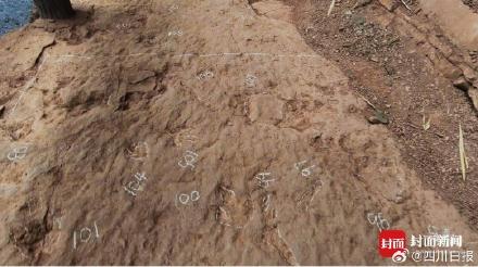 四川古蔺惊现恐龙王国