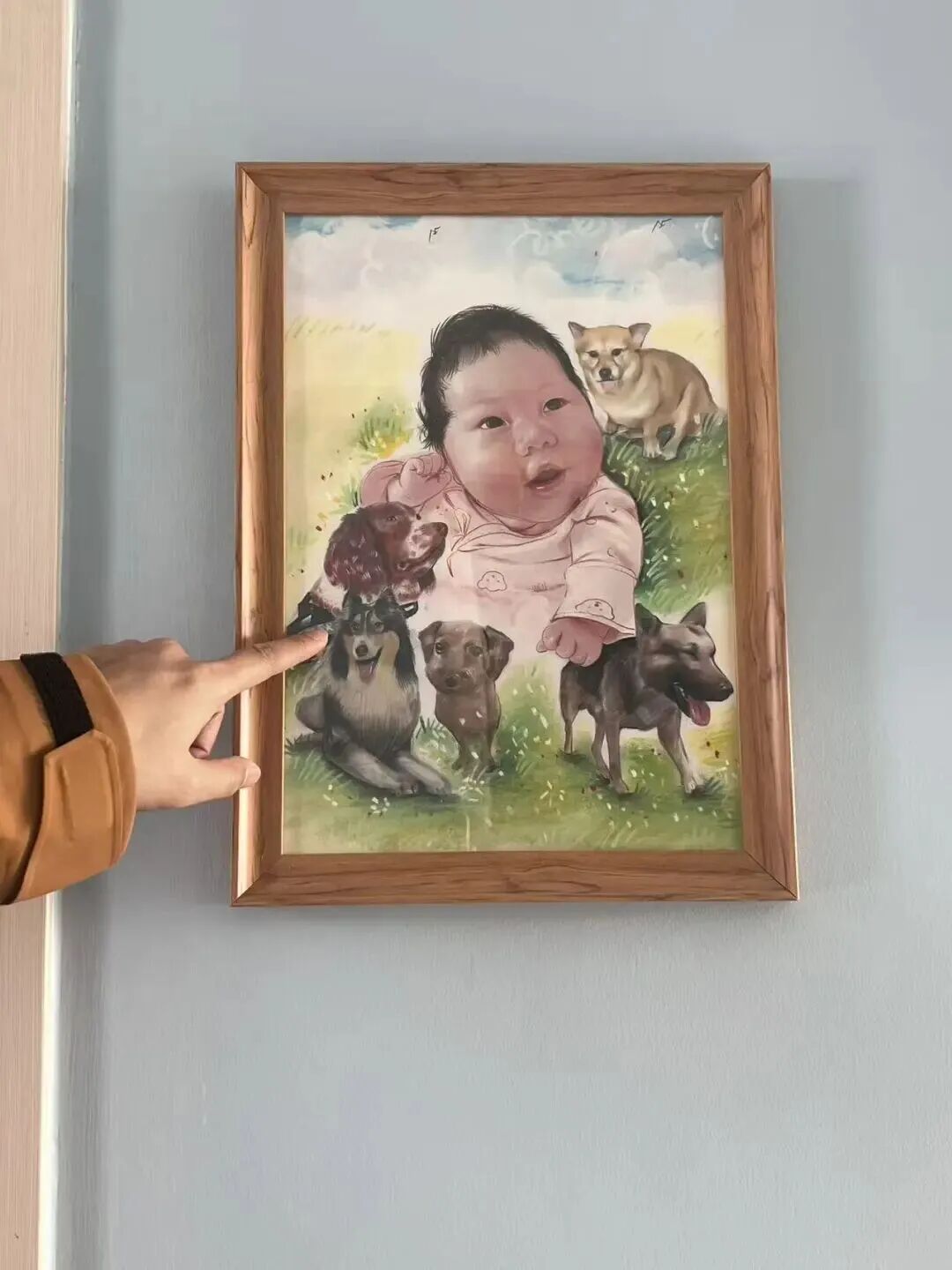 退役警犬被领养后……