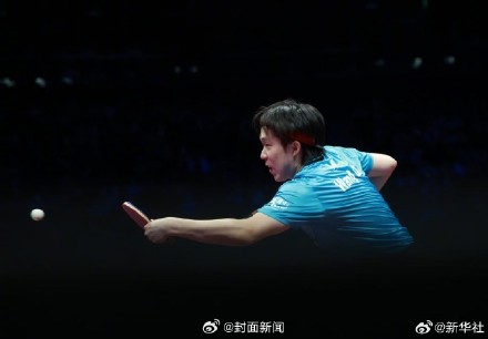 樊振东3比1王楚钦