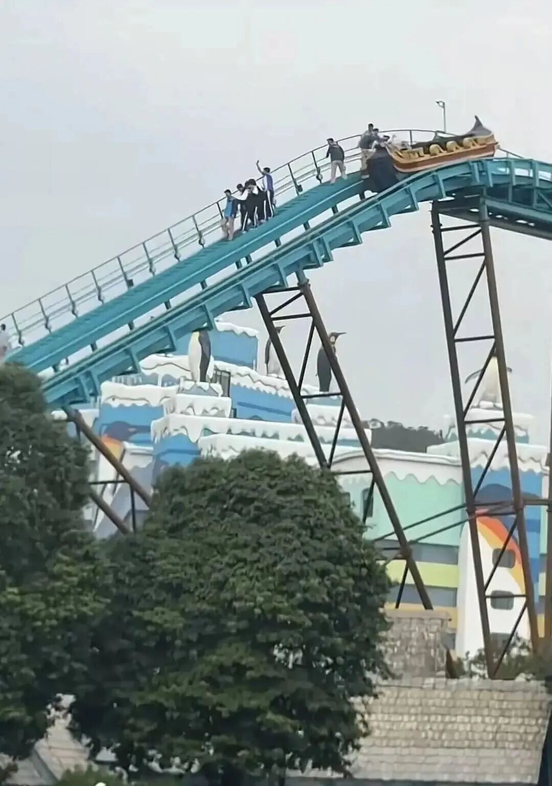 过山车停在半空中，游客被迫从高空撤离！珠海长隆度假区回应