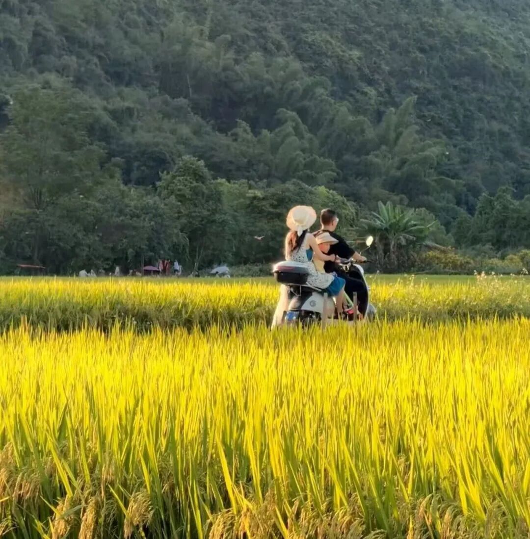 “诡秘你别太感动，我给你拍了张人生照片……”