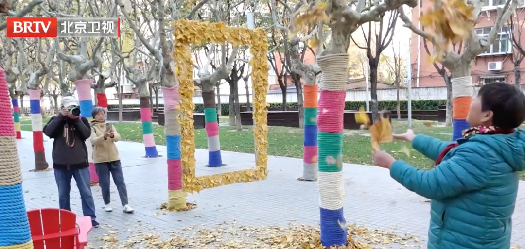 北京再现冬季“名场面” ！这些树竟然比我还时髦——